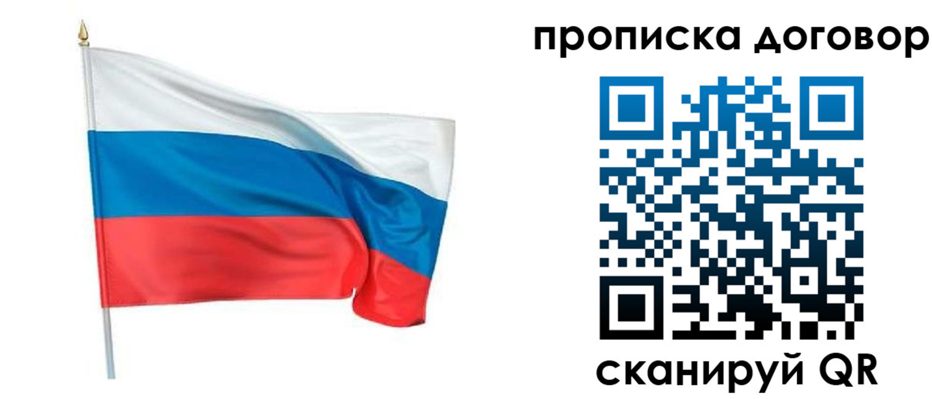 купить прописку в Владимирской области